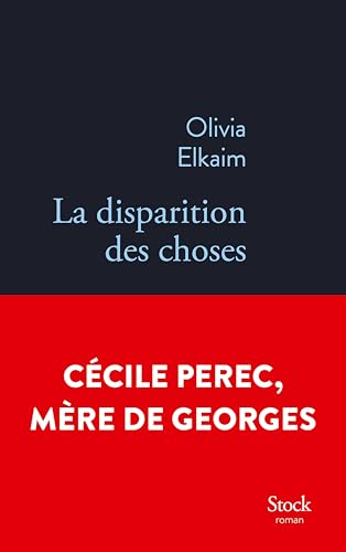 Disparition des choses (La)