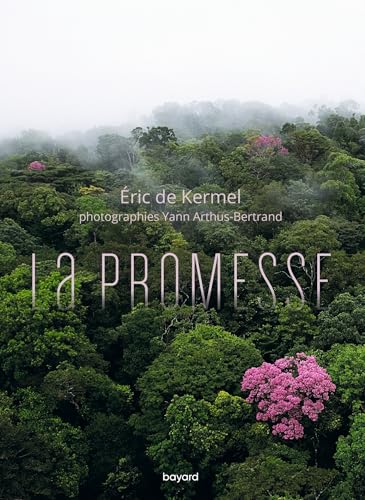 Promesse (La)